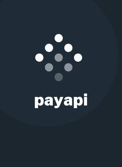 payAPI - Payment Plaftform 